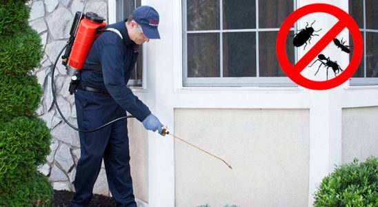 Narlıdere Bit İlaçlama böcek ilaçlama ve haşere kontrolü — ilaclama-tr.com